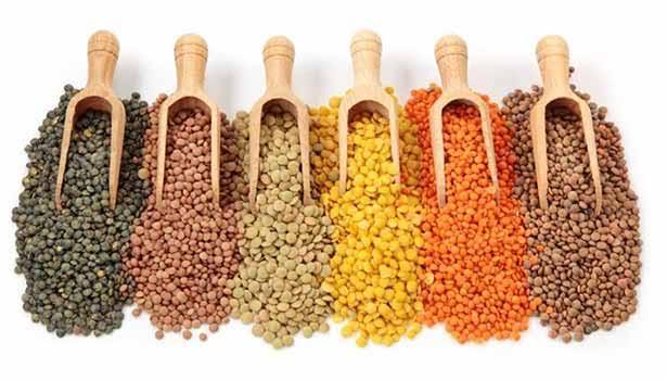 பருப்பு வகைகள் 
