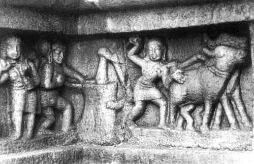 மரச்செக்கு எண்ணெய் 