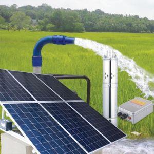 SOLAR PUMPING