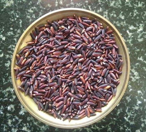 கருப்பு கவுனி