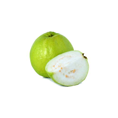 Guava / Koyya