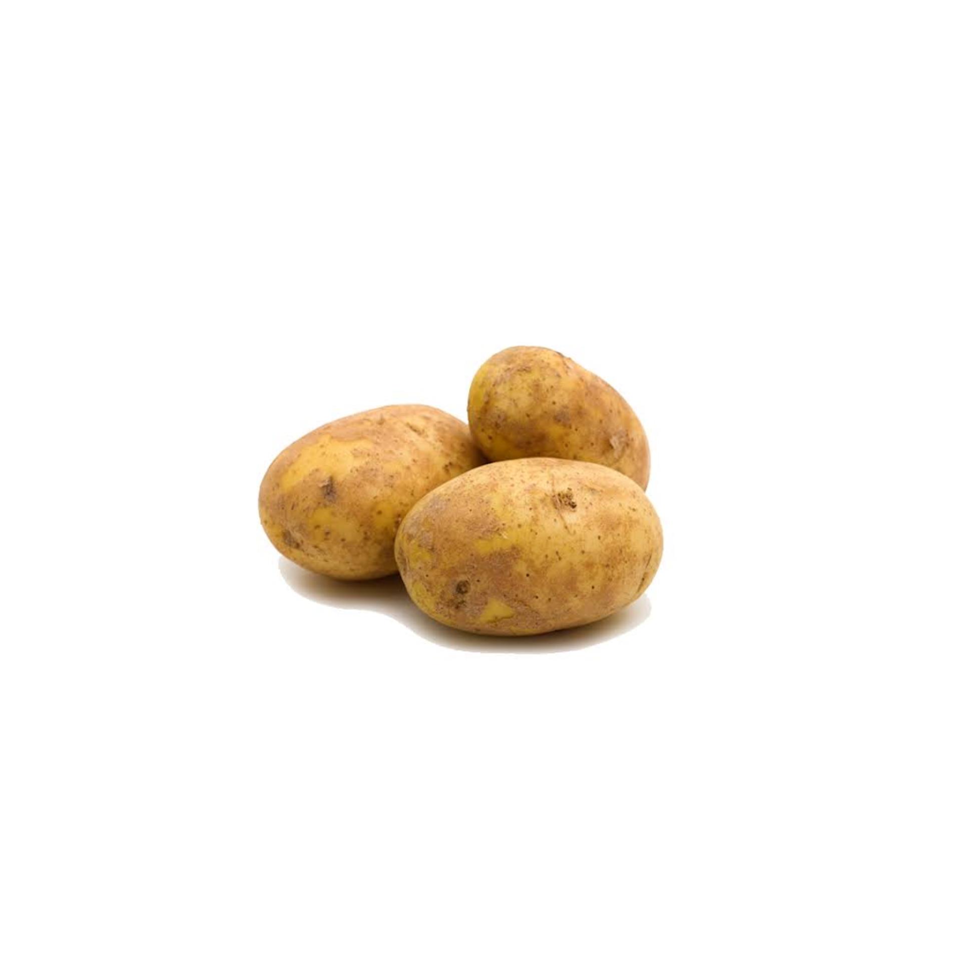 Potato