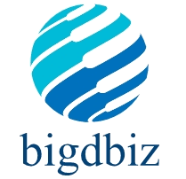 BigdbizMart