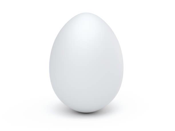 EGG ( REGULAR PRICE )