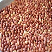Nilakadalai (Salt Peanut)